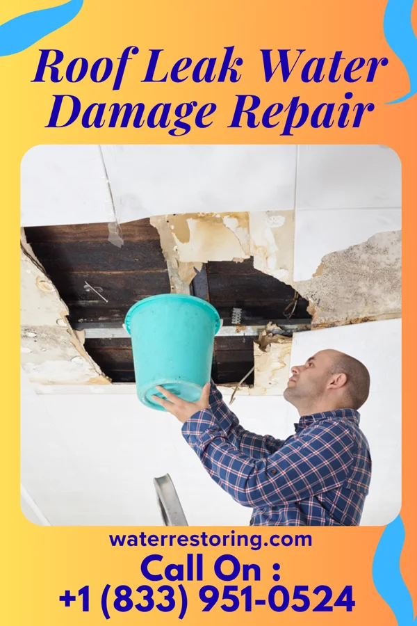 Roof Leak Water Damage Repair in Tellico Plains, TN