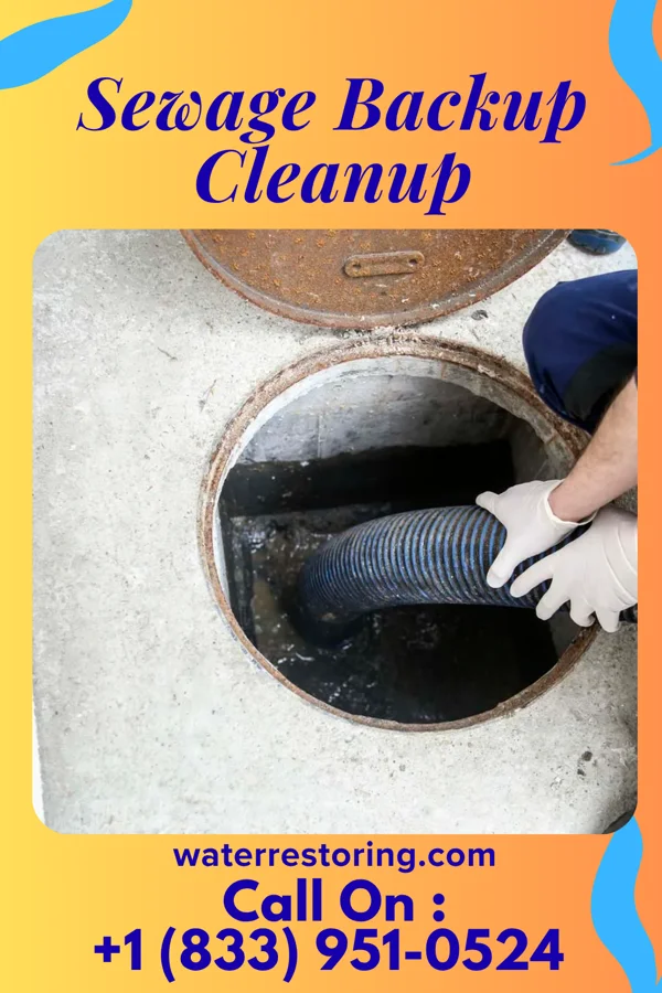 Sewage Backup Cleanup in Tellico Plains, TN